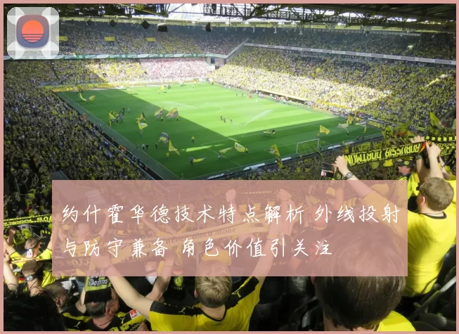 约什霍华德技术特点解析 外线投射与防守兼备 角色价值引关注