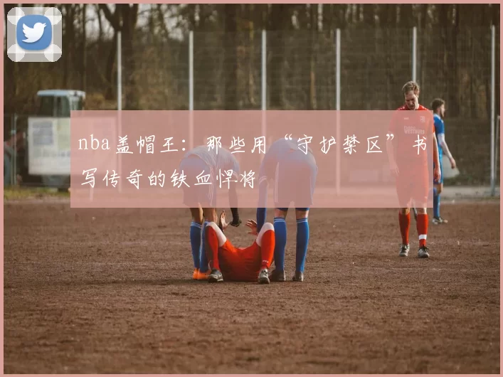 nba盖帽王：那些用“守护禁区”书写传奇的铁血悍将