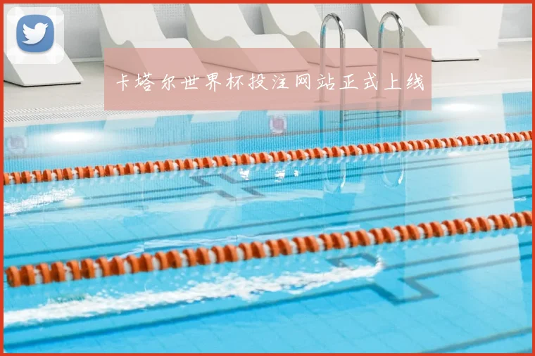卡塔尔世界杯投注网站正式上线