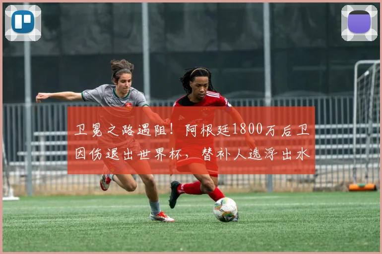 卫冕之路遇阻！阿根廷1800万后卫因伤退出世界杯，替补人选浮出水面_巴列尔迪因_比赛_肌肉